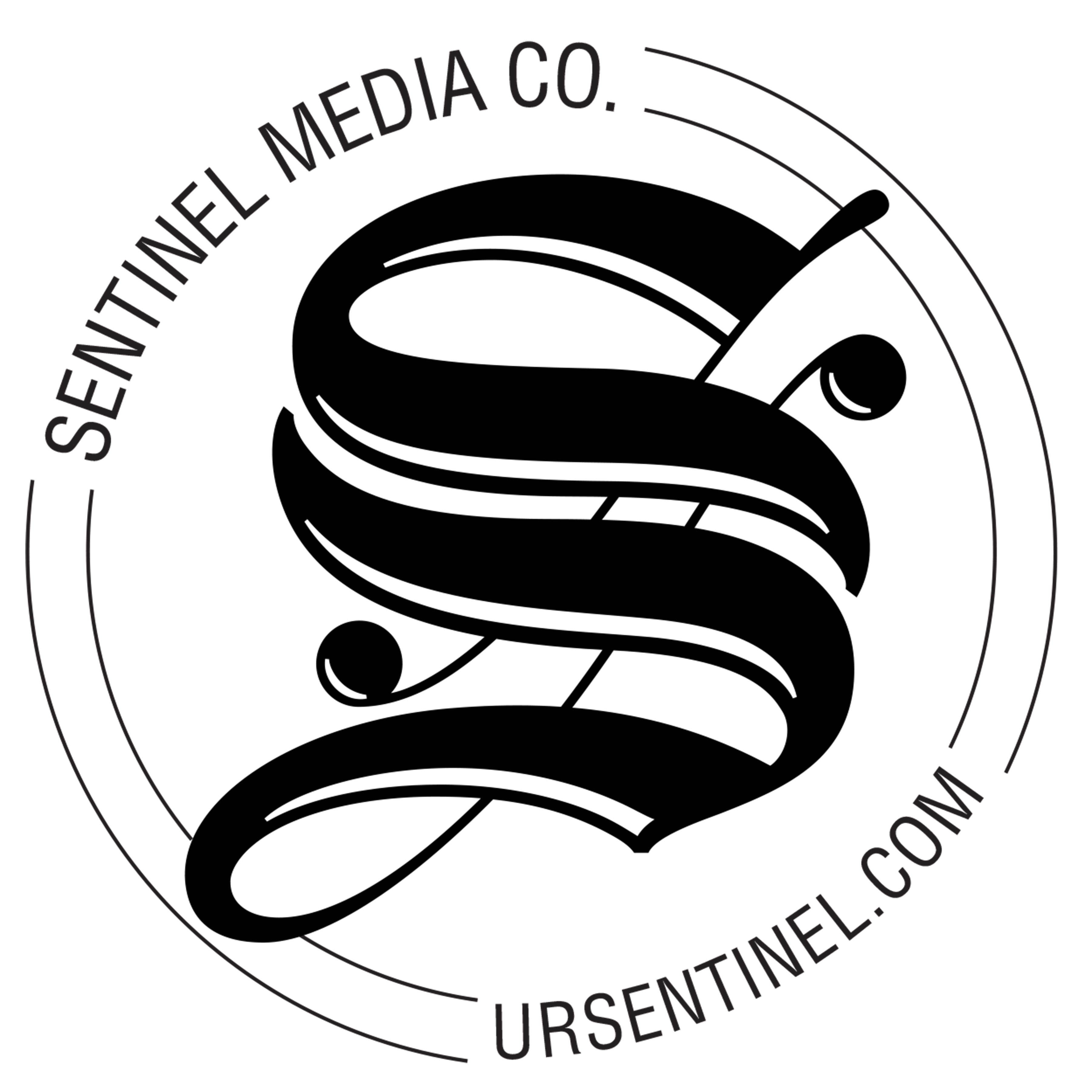VECTOR Sentinel  logo round URSENTINEL